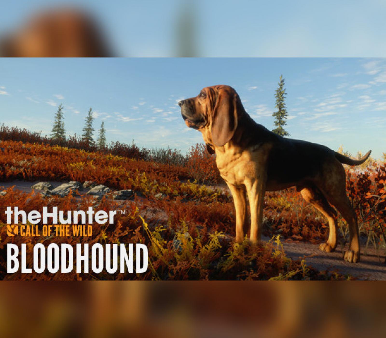 theHunter: Call of the Wild - Bloodhound DLC EU XBOX One / Xbox Series X|S CD Key