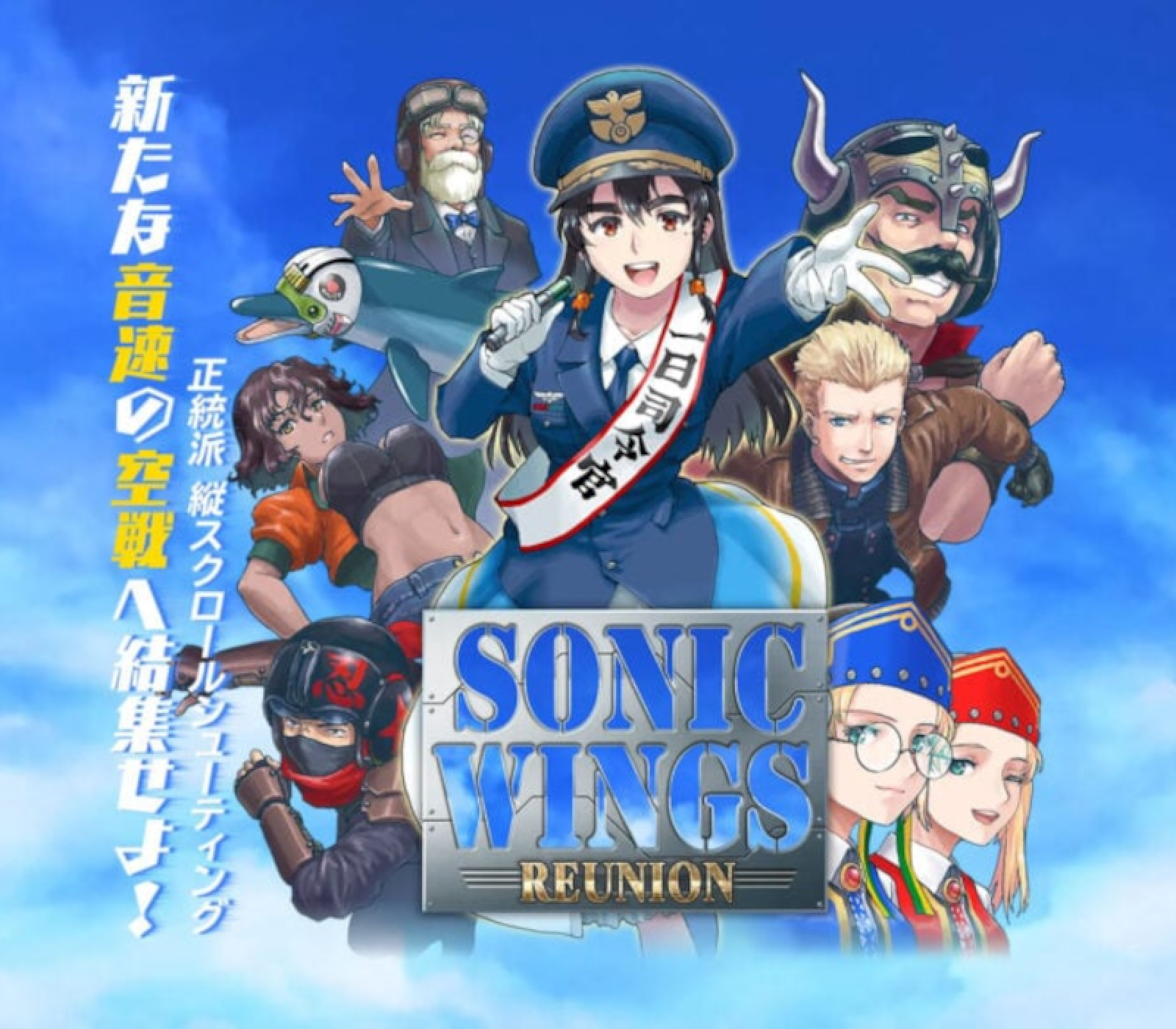 Sonic Wings Reunion EU Nintendo Switch CD Key