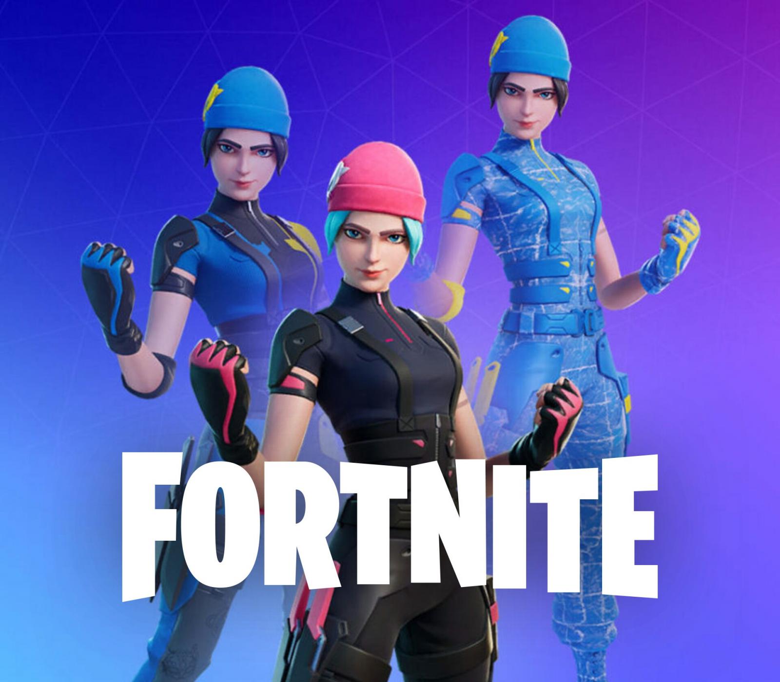 Fortnite - Wildcat Bundle DLC US Nintendo Switch CD Key