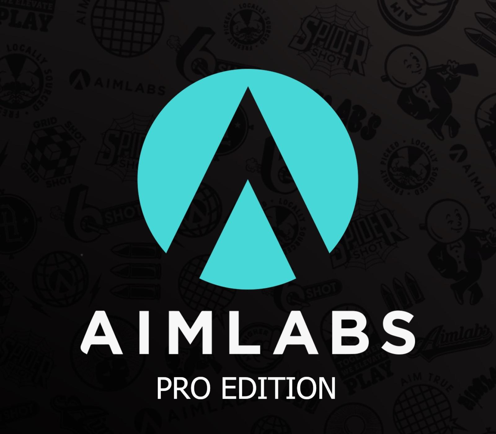 Aimlabs Professional Edition EU Xbox Series X|S CD Key