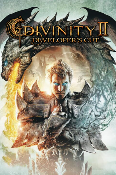 Divinity II: Developer's Cut Steam Key GLOBAL