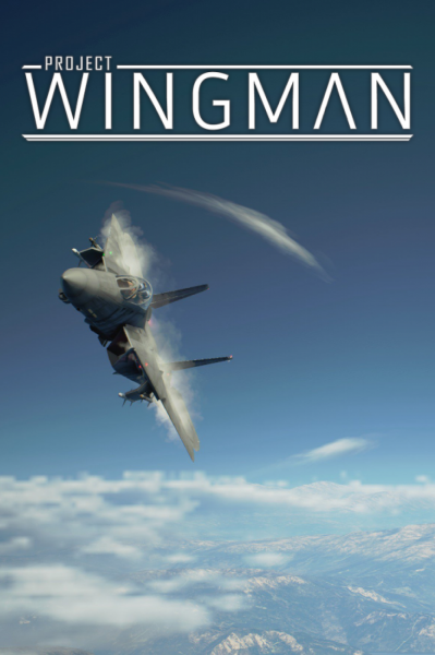 Project Wingman (PC) - Steam Key - GLOBAL
